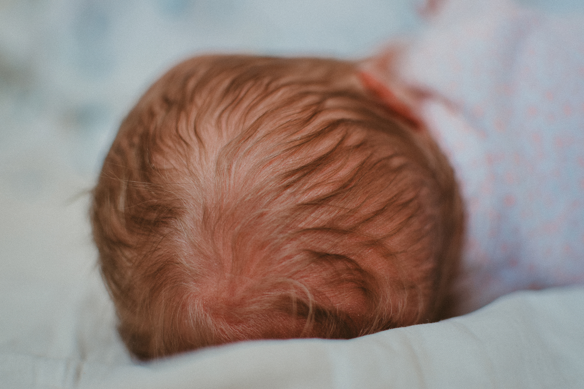Closeup of newborn baby's head and hair Closeup of newborn baby's head and hair