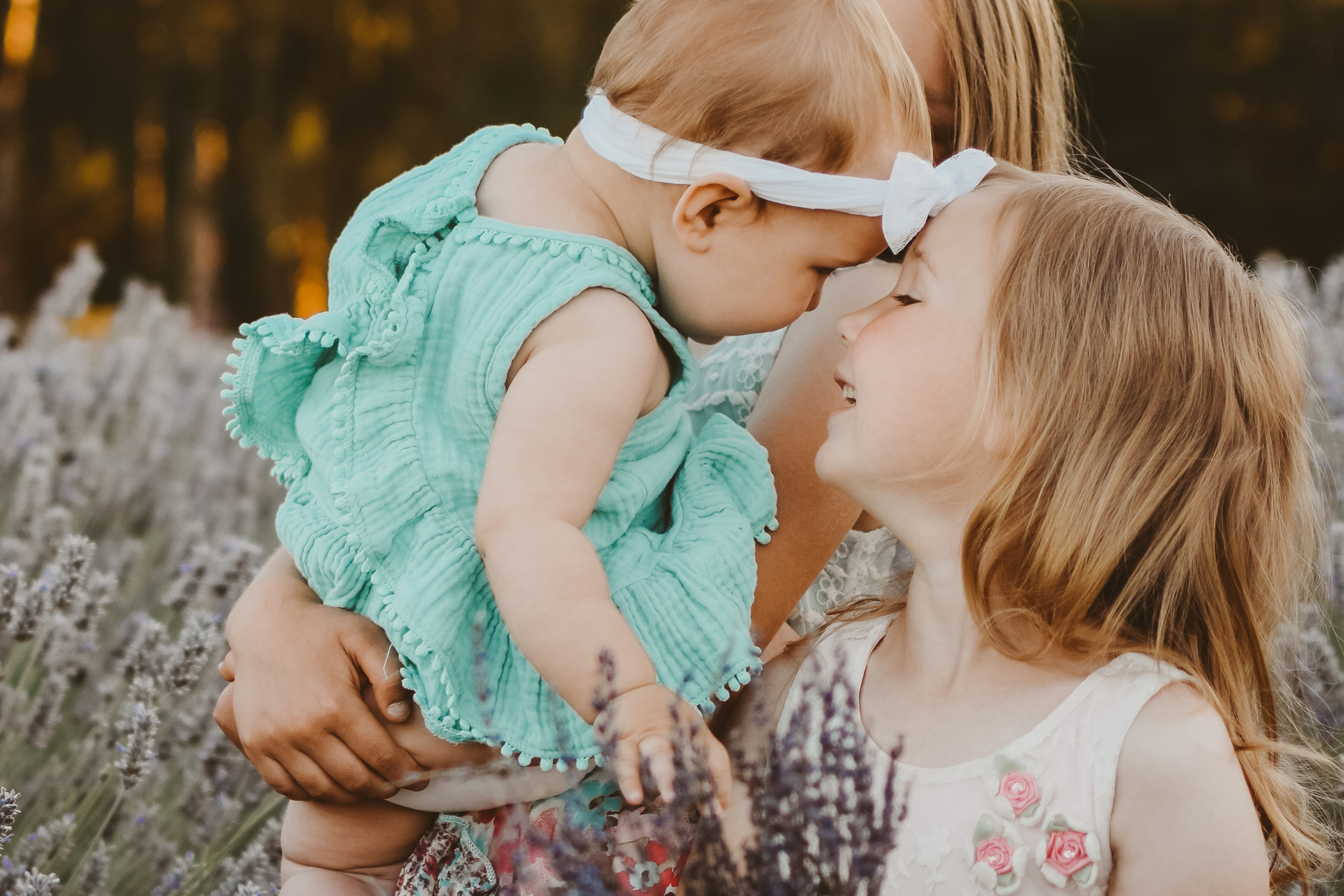 Two sisters similing and touching foreheads family photography among a field of lavender flowers Two sisters similing and touching foreheads family photography among a field of lavender flowers
