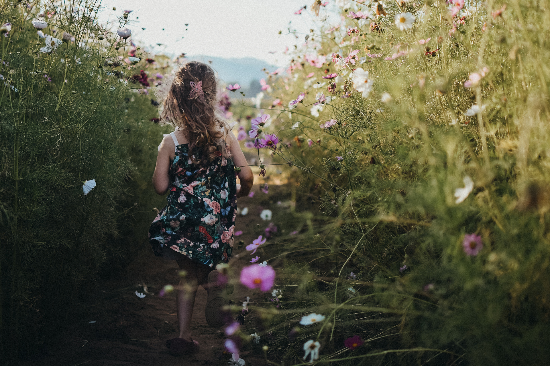 Preschool aged girl runs through a field of wildflowers, winner of the Columbia River PUD (CRPUD) calendar photo contest 2019 by Natalie Broders Preschool aged girl runs through a field of wildflowers, winner of the Columbia River PUD (CRPUD) calendar photo contest 2019 by Natalie Broders