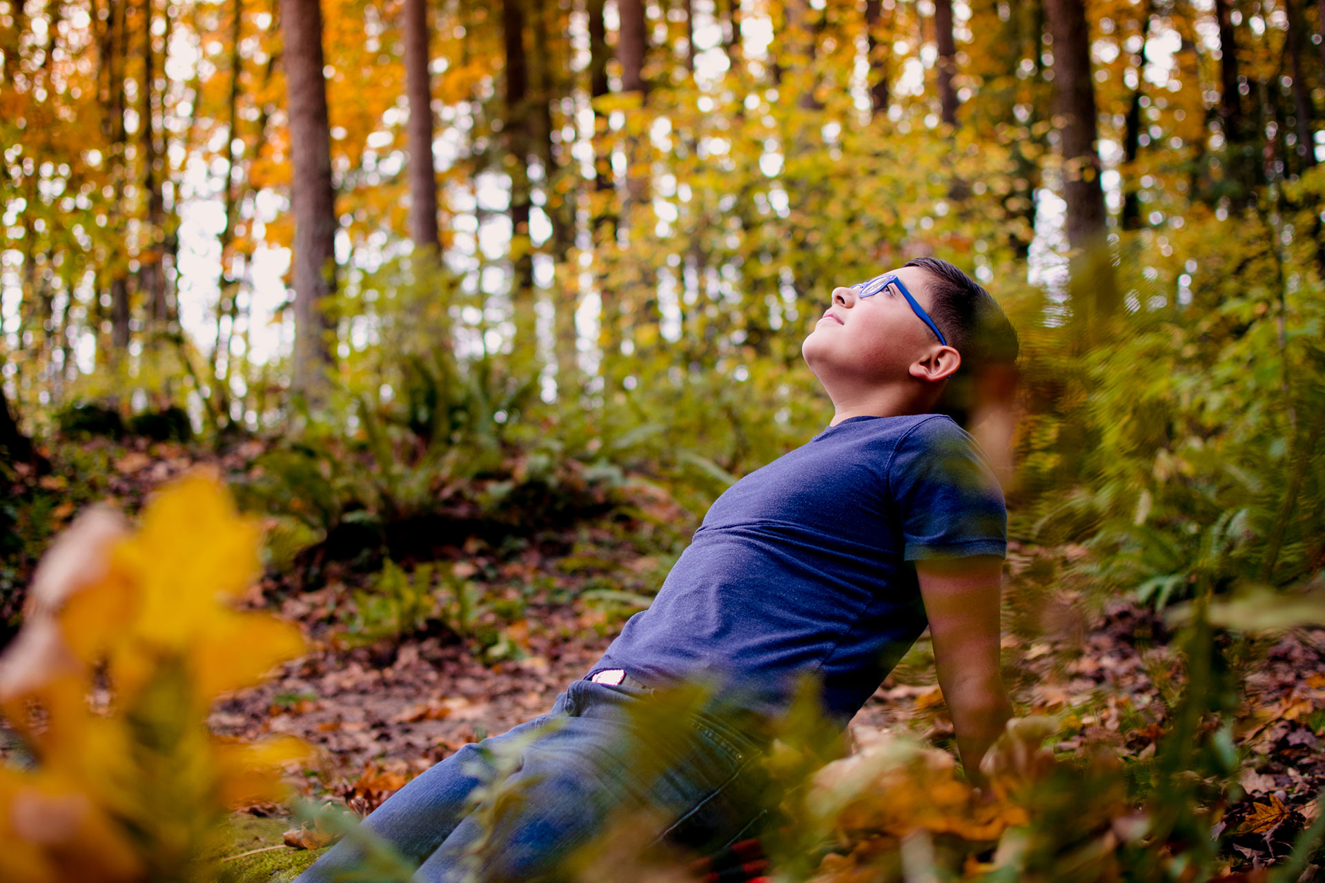 Young man sits back on a log gazing up at the trees and changing leaves during fall in Oregon Young man sits back on a log gazing up at the trees and changing leaves during fall in Oregon