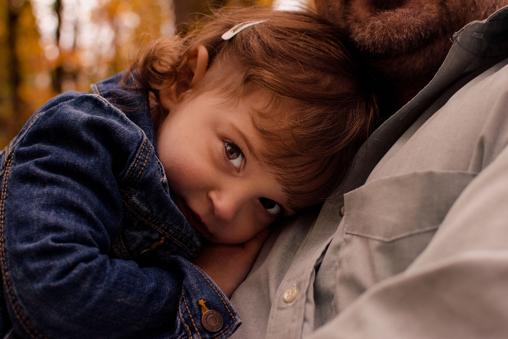 Young girl burries her face against her father's chest and peeks shyly at the camera Young girl burries her face against her father's chest and peeks shyly at the camera