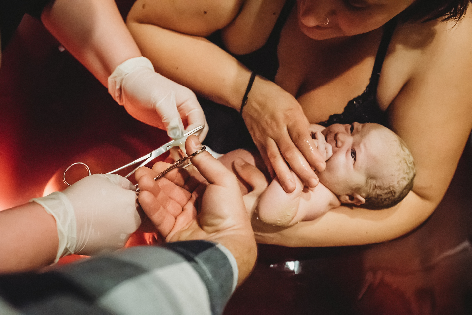 Dad uses scissors to cut the umbilical cord Dad uses scissors to cut the umbilical cord