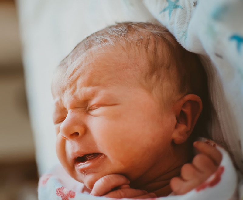 Newborn baby girl swaddled with her hands next to her face Newborn baby girl swaddled with her hands next to her face