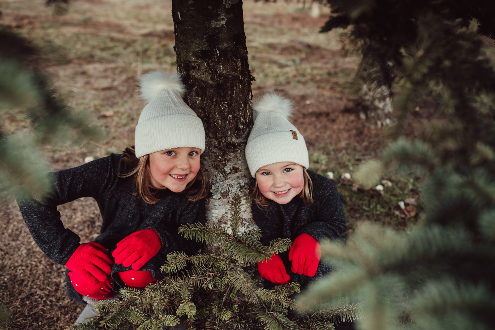 Rosey cheeked sisters sit next to a fir tree trunk at Trenholm Christmas Tree Farm in Oregon Rosey cheeked sisters sit next to a fir tree trunk at Trenholm Christmas Tree Farm in Oregon